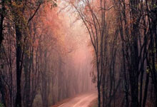 虎扑NBA：U20亚洲杯中国队两连胜，提前一轮出线澎湃新闻.