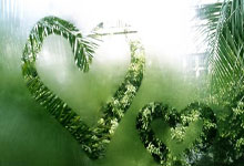 虎扑NBA：U20亚洲杯中国队两连胜，提前一轮出线澎湃新闻.